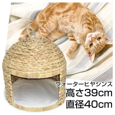 猫ちぐら ウォーターヒヤシンス