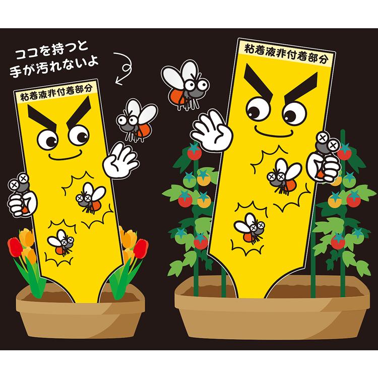 虫取りトラップラベル Mサイズ (5枚入)