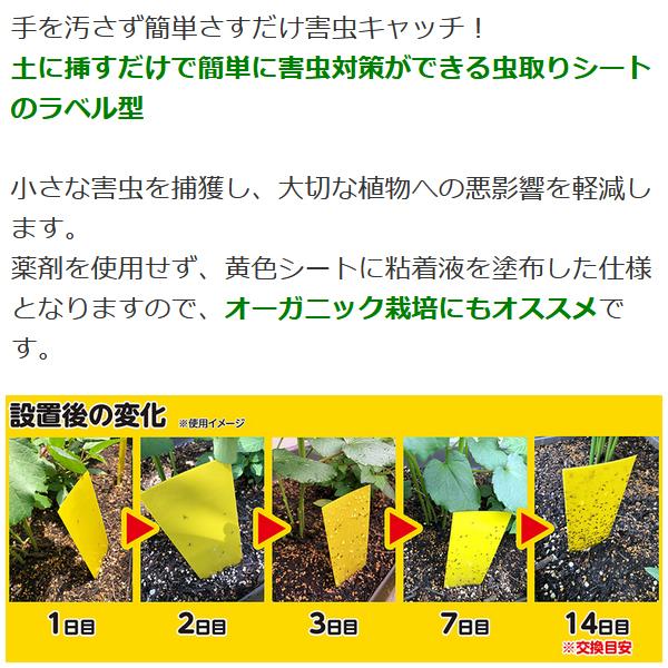 虫取りトラップラベル Mサイズ (5枚入)
