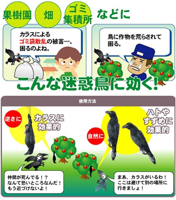 本物ソックリカラス イヤガラス ［代金引換：不可］