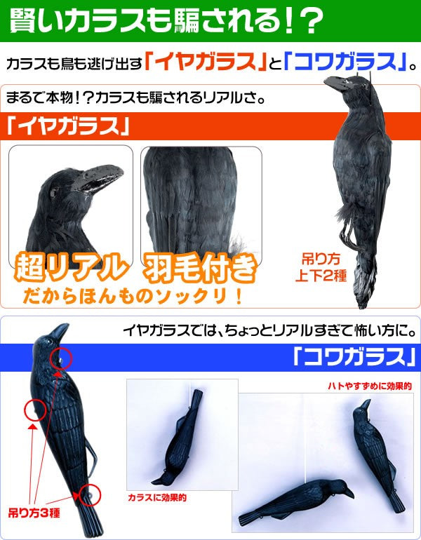 本物ソックリカラス イヤガラス ［代金引換：不可］